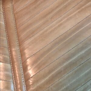 Vintage Eel Skin Bag